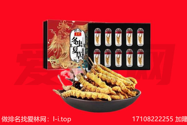 右江区回收虫草.jpg